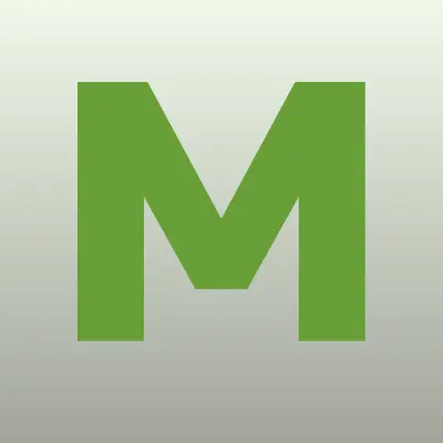 Магазин автозапчастей, ИП Бережнов В.Н., лого-визитка